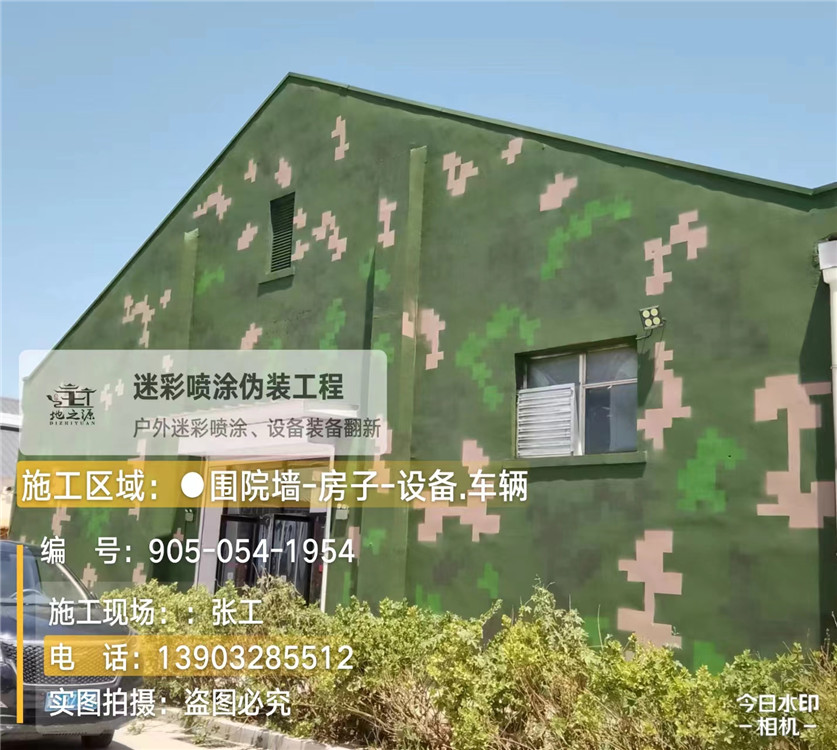 淮安外墙数码迷彩漆施工报价清单(100㎡标准墙面测算)